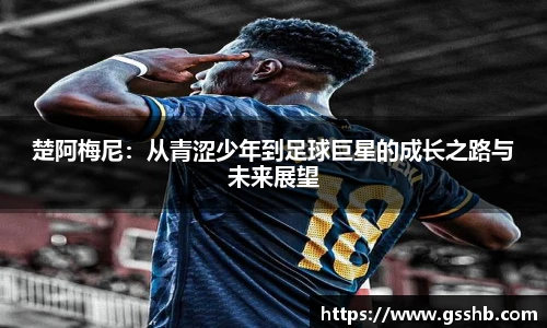 Bwin楚阿梅尼：从青涩少年到足球巨星的成长之路与未来展望